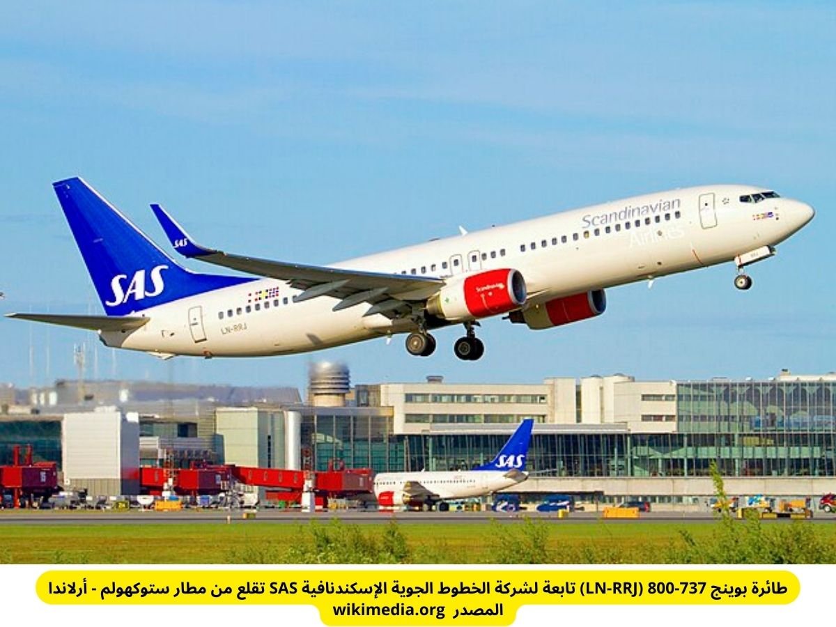 فأر في وجبة الطعام خطوط الطيران الاسكندنافية