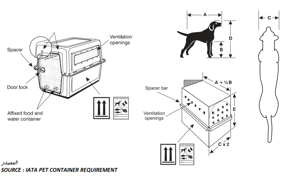 شروط نقل الحيوانات الأليفة